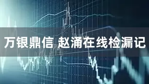 万银鼎信 赵涌在线检漏记