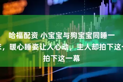 哈福配资 小宝宝与狗宝宝同睡一张床，暖心睡姿让人心动，主人却拍下这一幕