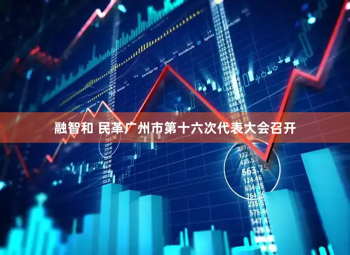 融智和 民革广州市第十六次代表大会召开